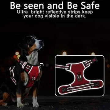 Timos Dog Harness for All Sizes: Comfort & Style