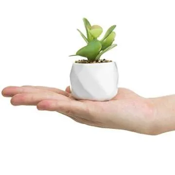 MyGift Mini Faux Assorted Succulent Plants in Faceted Ceramic Planters, Set of 4