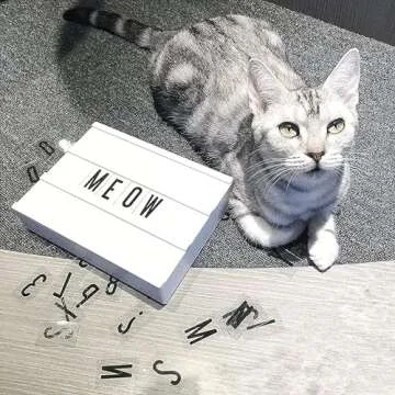 My Cinema Lightbox - Mini Cinema Lightbox, 8"x6" - Personalized Light Box Sign with 100 Letters, Numbers, & Symbols, USB cable included, white light box with letters