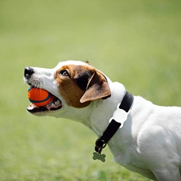 Best Airtag Holder for Pet Collars - SWINCHO 2 Pack