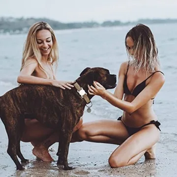 Best Airtag Holder for Pet Collars - SWINCHO 2 Pack