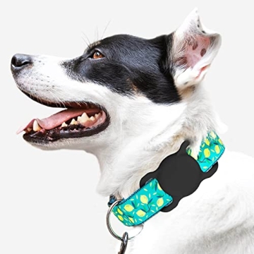 Best Airtag Holder for Pet Collars - SWINCHO 2 Pack