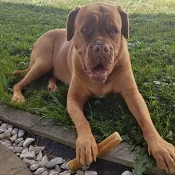 Peppy Pooch Yak Cheese Sticks - Natural Healthy Dog Treats