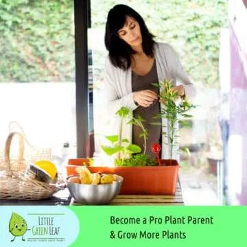 Little Green Leaf Plant Watering Globes for Easy Hydration