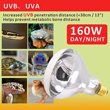 Aiicioo 160W UVB Reptile Light for Healthy Reptile Care