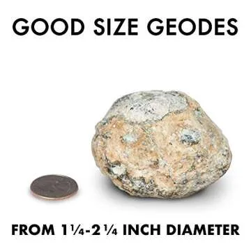 NATIONAL GEOGRAPHIC Break Open 2 Geodes Science Kit – Includes Goggles, Detailed Learning Guide and Display Stand - Great STEM Science gift for Mineralogy and Geology enthusiasts of any age