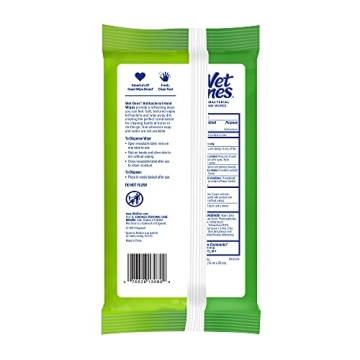 Wet Ones Antibacterial Hand Wipes 50ct Spring Bliss