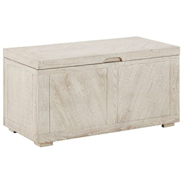 Ryker Modern Rustic Storage Trunk Coffee Table in Whitewash