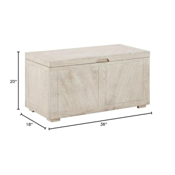Ryker Modern Rustic Storage Trunk Coffee Table in Whitewash