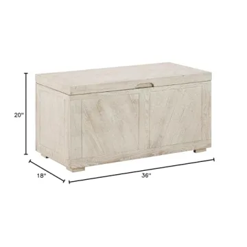 Ryker Modern Rustic Storage Trunk Coffee Table in Whitewash