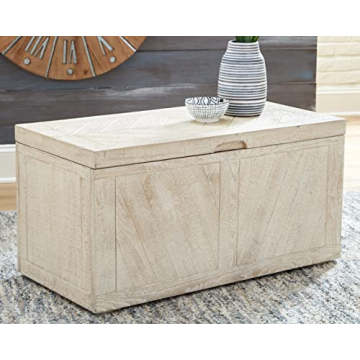 Ryker Modern Rustic Storage Trunk Coffee Table in Whitewash