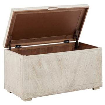 Ryker Modern Rustic Storage Trunk Coffee Table in Whitewash
