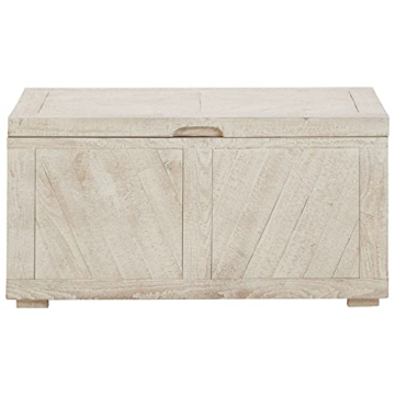 Ryker Modern Rustic Storage Trunk Coffee Table in Whitewash