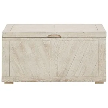 Ryker Modern Rustic Storage Trunk Coffee Table in Whitewash