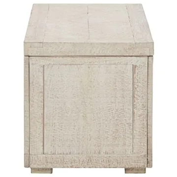 Ryker Modern Rustic Storage Trunk Coffee Table in Whitewash