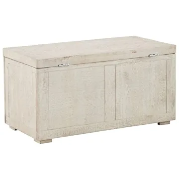 Ryker Modern Rustic Storage Trunk Coffee Table in Whitewash