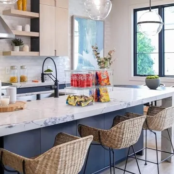 Sorbus Clear Medium Plastic Storage Bins with Lids