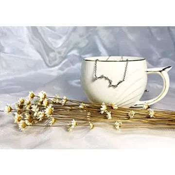 La Raffine Sterling Silver Moon Fashion Simple scorpio Constellation Clavicle Necklace with Zircon(Scorpio)…