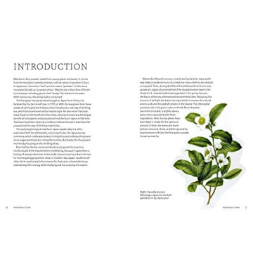 Master Matcha with The Ultimate Cookbook for 70 Recipes