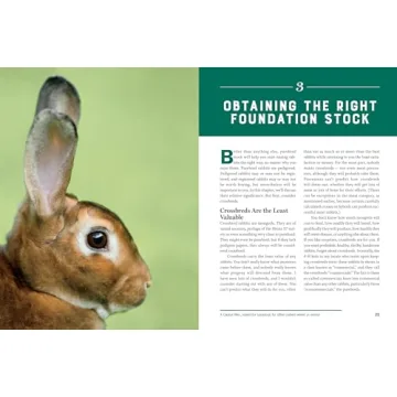 Storey's Guide to Raising Rabbits for Every Enthusiast
