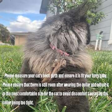 Stylish PUPTECK Cat Collars with Breakaway Buckle