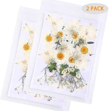 72 PCS Real Dried Pressed Flowers Leaf Plant Herbarium for Resin Craft Jewelry Making (White Daisy)
