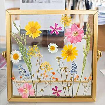 72 PCS Dried Pressed Flowers for Unique Crafts and Jewelry