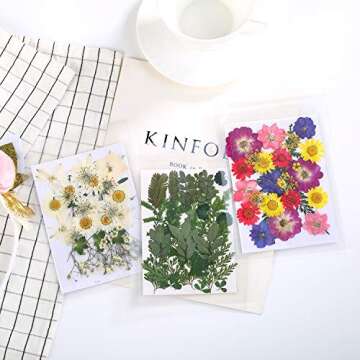 72 PCS Dried Pressed Flowers for Unique Crafts and Jewelry