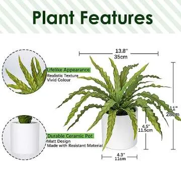 GnFlus Artificial Fern Plant in Ceramic Pot, 11 Inch Fake Bird’s Nest Ferns Plants Faux Potted Fer...