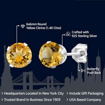 Gem Stone King 925 Sterling Silver Round 6MM Gemstone Birthstone Stud Earrings For Women Men