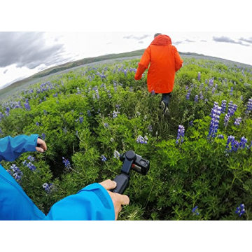 GoPro Karma Grip - Renewed Official Accessory for Stability