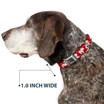 Buckle-Down Seatbelt Buckle Dog Collar - Stylish & Durable