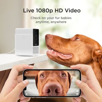 Petcube Cam Indoor Wi-Fi Pet Monitor with Night Vision