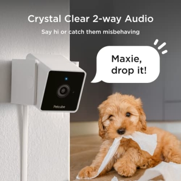 Petcube Cam Indoor Wi-Fi Pet Monitor with Night Vision