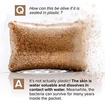 Septic Tank Treatment Packets for Home & RV - 1 Year Supply