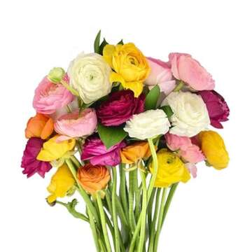 From You Flowers - Rainbow Ranunculus - Deluxe with Glass Vase (Fresh Flower Bouquets) Birthday, Anniversary, Valentine's Day, Get Well, Congratulations, Thank You, All Occasions