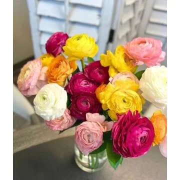 From You Flowers - Rainbow Ranunculus - Deluxe with Glass Vase (Fresh Flower Bouquets) Birthday, Anniversary, Valentine's Day, Get Well, Congratulations, Thank You, All Occasions