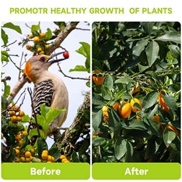 4 Packs Garden Plant Netting Blueberry Bushes Protection Netting Covers Bags, Tomato Fruit Trees Protective Cover Garden Plant Netting Covers Bags Plant from Insect Bird Eating 4.92x3.93 FT