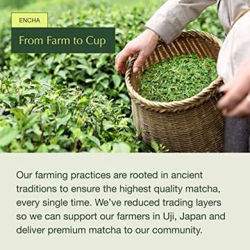 Encha Organic Matcha Bundle - Premium First Harvest Tea