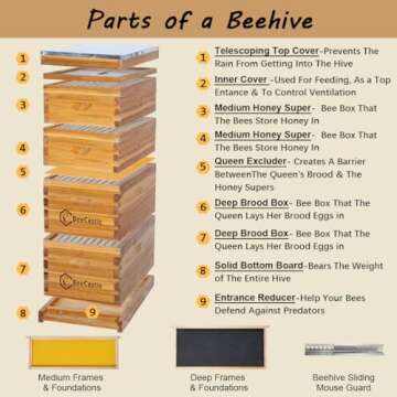 BeeCastle 10 Frame Langstroth Bee Hive Coated with 100% Beeswax Includes Beehive Frames and Waxed Fo...