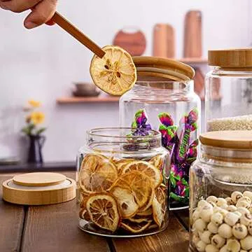 MOLADRI 480 ml Decorative Glass Storage Canister