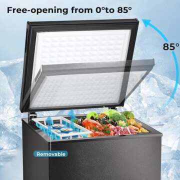 Compact Electactic Chest Freezer with Adjustable Thermostat