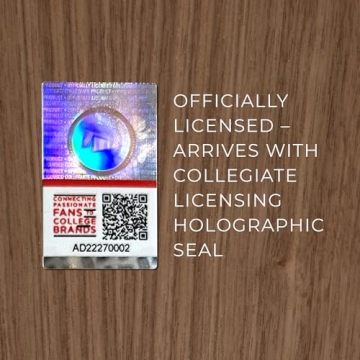 Spartan Stadium Wall Art for Michigan State Fans - Officially Licensed