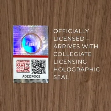 Spartan Stadium Wall Art for Michigan State Fans - Officially Licensed