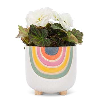 Abbott Collection Small Rainbow Planter with Legs - Charming 4" H Stoneware Pot for Cacti & Succulen...