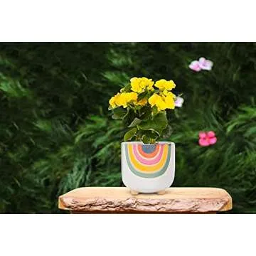 Abbott Collection Rainbow Planter - Charming 4" H Pot