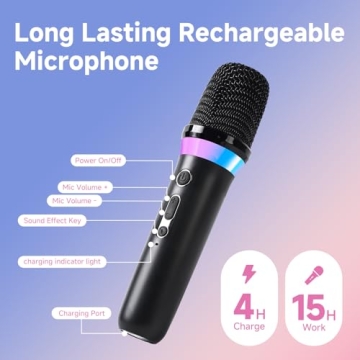 Ultimate Car Karaoke Microphone Set for Family Fun