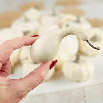 Factory Direct Craft Set of 16 Assorted Harvest Off White Faux Gourds and Pumpkins for Halloween, Fall and Thanksgiving Decorating for Halloween, Fall and Thanksgiving Decorating