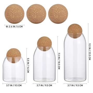 BESTonZON Clear Glass Storage Jar Set for Kitchen Elegance