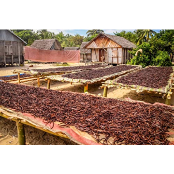 Organic Madagascar Vanilla Beans - Grade A Pods